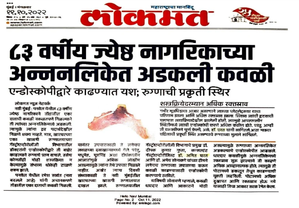 lokmat
