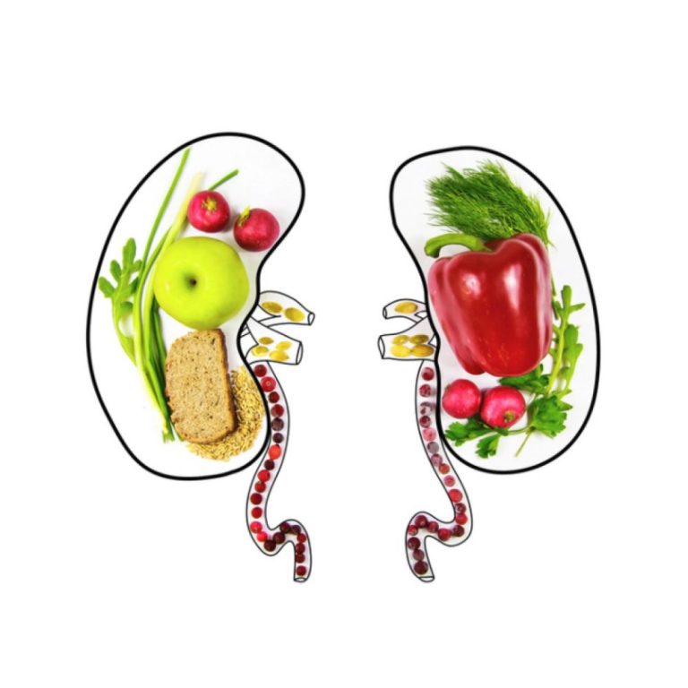 Nutrition and Lifestyle Choices for Kidney Cancer Patients: Empowering Wellness Beyond Treatment