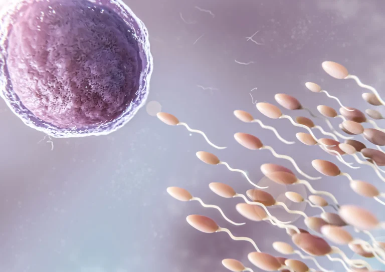 Common Conditions Treated In Andrology