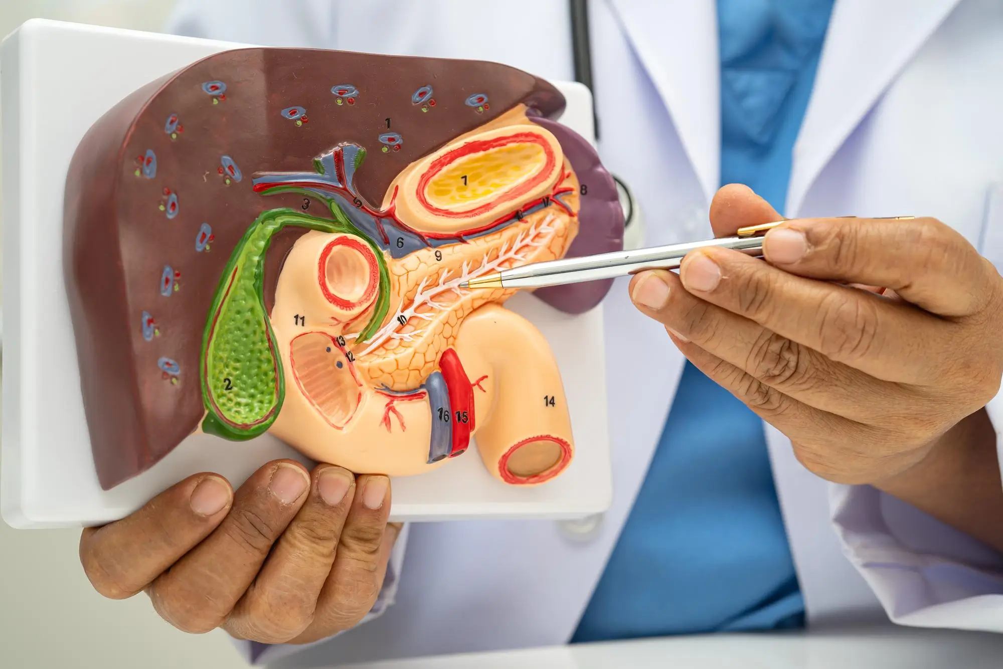 After Gallbladder Surgery