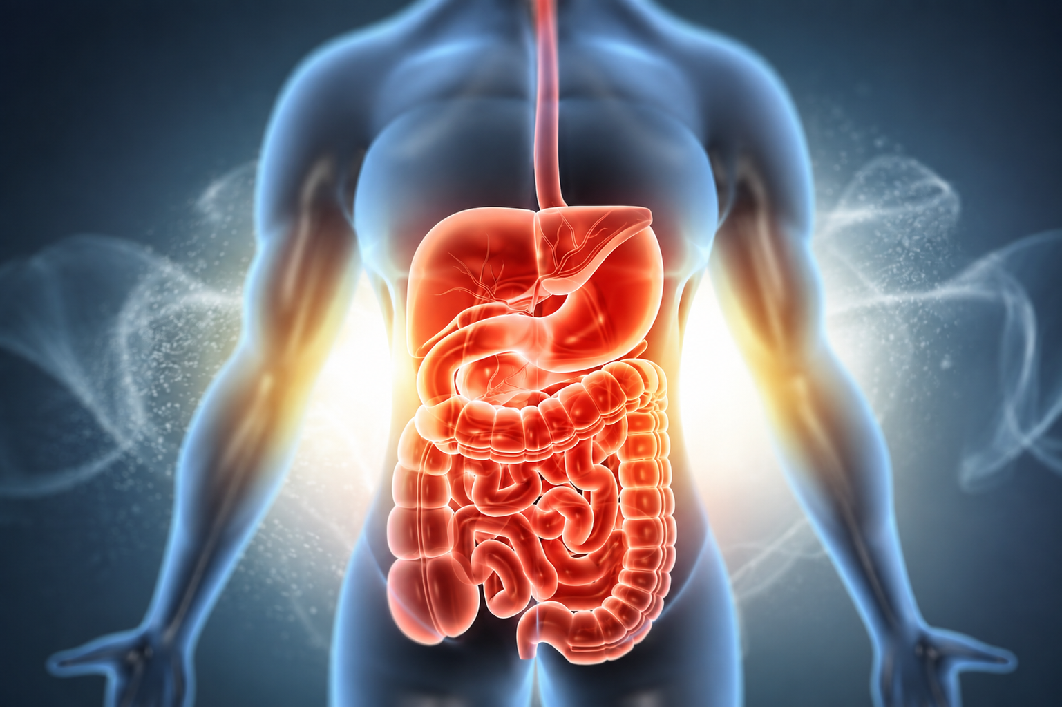 Inflammatory Bowel Disease (IBD) Gastroenterologist in Navi Mumbai